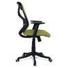 Zeeazyana Mid Back Ergonomic Chair in Pearl Green Colour