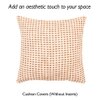 Girnar Set Of 2 Cushion Covers With Brown Colour
