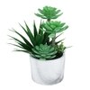 Artificial Succulent Indoor Plant With Ceramic Pot