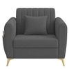 Daraco Velvet 1 Seater Sofa in Dark Grey Color