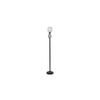 Elliot Black Glass Shade Floor Lamp