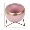 Apple Shape Metal Planter Set Of 2 In Pink And Gold Colour