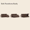 Kowloon Sectional 3 Seater Pull Out Sofa cum Bed In Daschund Brown Colour