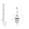 Nolan  Ceiling Pendant Light In Transparent  Glass & Brass Finish Metal