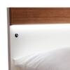 Juda Engineered Wood Queen  Size Bed Without Storage (Urban Teak Finish, Frosty White Colour)