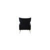 Danney Solid Wood Accent Chair in Black Colour