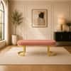 Doe Buck Upholstered Oval Bench in Pink Colour with Gold Loop Legs