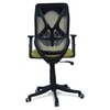Zeeazyana Mid Back Ergonomic Chair in Pearl Green Colour