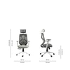 Lukano High Back Ergonomic Office Chair in Grey Colour