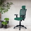 Jeaorda High Back Ergonomic Chair in Dark Green Colour