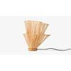 India Natural Table Lamp With Natural Iron Base