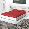 Aster Tomato Plain 400 TC Cotton Flat Super King Size Bedsheet with 2 Pillow Covers – Threads