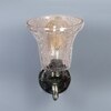 Devansh Metal Electric Wall Light in Antique gold Colour with Transparent Shade Count of 1 Light