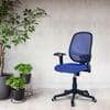 Goolda Low Back Ergonomic Chair in Blue Colour