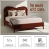 Elaris Curve Comfort Queen Size Bed in velvet With Engineer Wood Frame & Hydraulic Storage