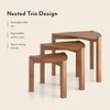 Clapton Nested Table-Set of 3 in Finish Amber Walnut