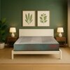 Repose Ortholux Foam PU Foam with Memory Foam Mattress (L x W: 75 inch x 60 inch, Thickness 6 Inches )