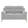 Niwara Velvet 2 Seater  sofa in Grey Color
