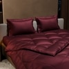Stoa Paris Comforter Set Double Bed, 300TC Satin Double Bed Comforters in Velvet Wine