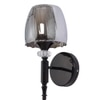 Eliante Modern Wall Lights Mild Steel & Glass Material Glossy Black & Smoky Finish