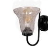 Devansh Metal Electric Wall Light in black Colour with Transparent Shade Count of 1 Light