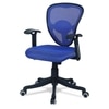 Aaeroa Low Back Ergonomic Chair in Black Colour