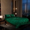Stoa Paris Comforter Set Double Bed, 300TC Satin Double Bed Comforters in Emerald Green