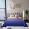 Stoa Paris Comforter for King Size Bed, 300 TC Ultra Satin Fabric  Grey Black