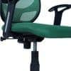 Goolda Low Back Ergonomic Chair in Dark Green Colour
