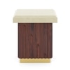 Gabriele Onyx Composite and Teak Wood Square Side Table In Dark Teak Finish