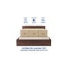 Aglaea Engineered Wood Queen  Size Bed With Box Storage (Walnut Finish)