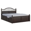 Syan Solid Wood King  Size Bed With Hydraulic Storage (Walnut Finish)