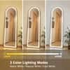 The Artment Gold Halo Arch Unbreakable Floor Mirror For Home (160 X 50 CM)