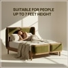 Valerio Duo-Panel Luxe Queen Size Bed in Olive colour Velvet with Oak wood Frame