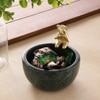 Marble Nut candy  Bowl Brass Teddy embedded