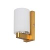 Eliante Modern Wall Lights Mild Steel & Glass Material Antique Gold & White Finish