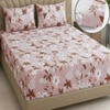 Multicolor Floral 270 Tc Glaze Cotton Fitted Queen Size Bedsheet With 2 Pilllow Covers