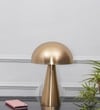 Fungo Single Light Table Lamp In Brass Finish