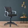 Xxeana Mid Back Ergonomic Chair in Black Colour