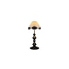 Mira Vintage Multicolor Shade Table lamp with Iron Base