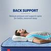 Kurlon DuoRest Essential 6 inch Single Bonded Foam Mattress (L x W: 72 inch x 30 inch)
