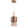 Eliante Hanging Light, Champaign Glass Shade, Mild Steel, 1 Bulb - Modern Pendant Lamp For Home Decor