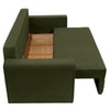 Baruna 2 Seater Velvet Pull Out Sofa Cum Bed with Storage In Green Color