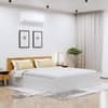 Hexa Engineered Wood Modern Queen Bed With Headboard With Storage In Frosty White And Giant Wood