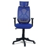 Zeeazyana High Back Ergonomic Chair in Blue Colour