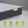 Dreamsway Pocket Spring Mattress 8 inch Mattress