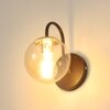Eliante Modern Wall Lights Mild Steel, Glass & Glass Material Brown,Gold & Champaign Finish