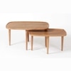 Sora Solid Wood Coffee Table in Brown Colour