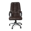 Adiko Modern Director Chair In Brown