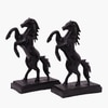 Vedas Polyresin  Figurine in Black Colour